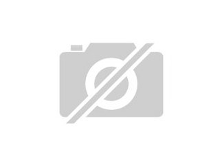 Suche privaten Reitunterricht